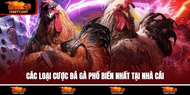 Các loại cược đá gà phổ biến nhất tại nhà cái