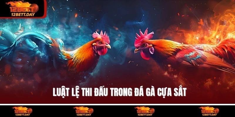 Luật lệ thi đấu trong đá gà cựa sắt