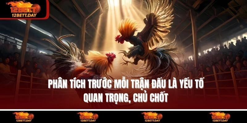 Phân tích trước mỗi  trận đấu là yếu tố quan trọng, chủ chốt
